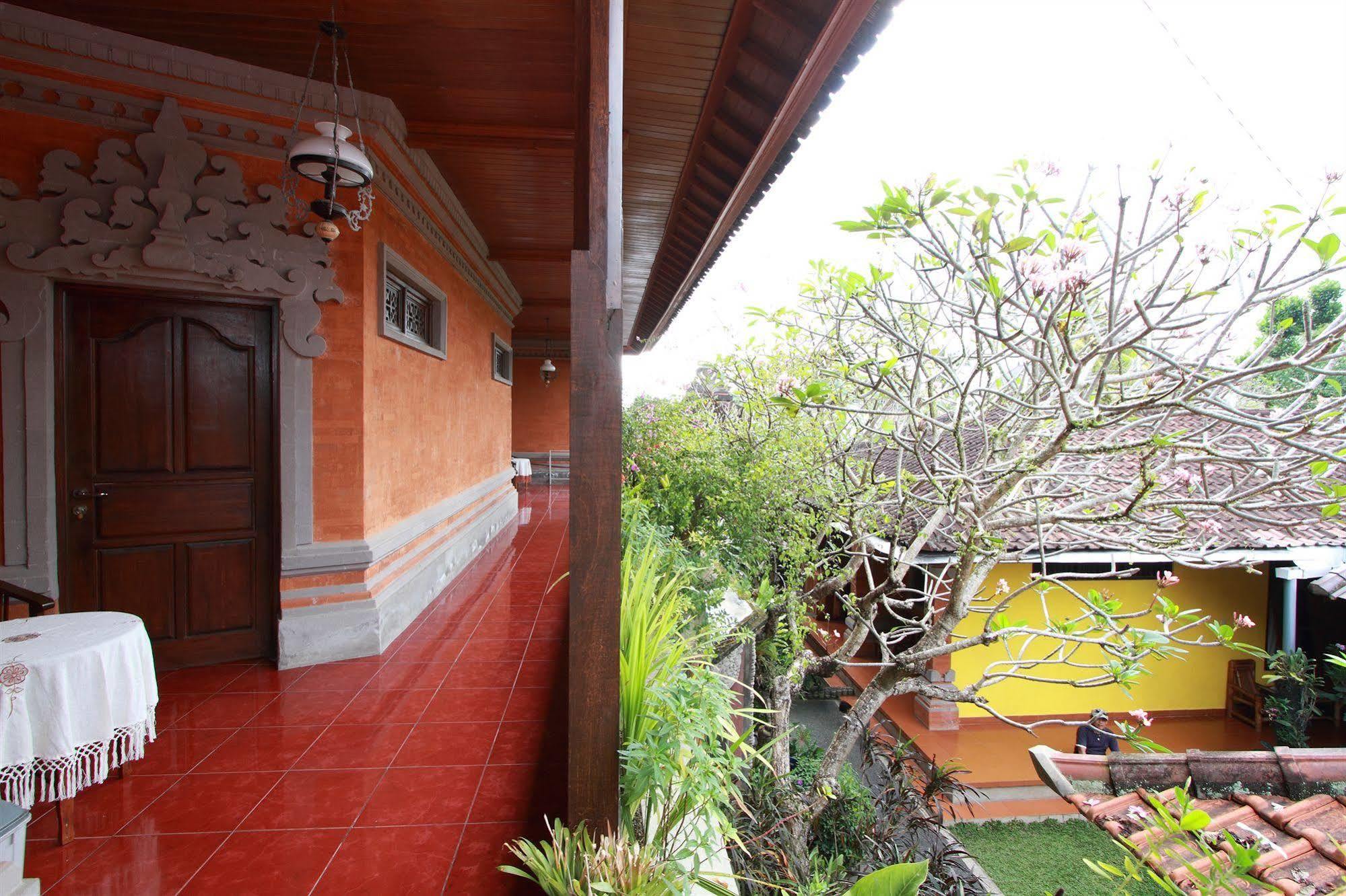 Citrus Tree - Hutama *