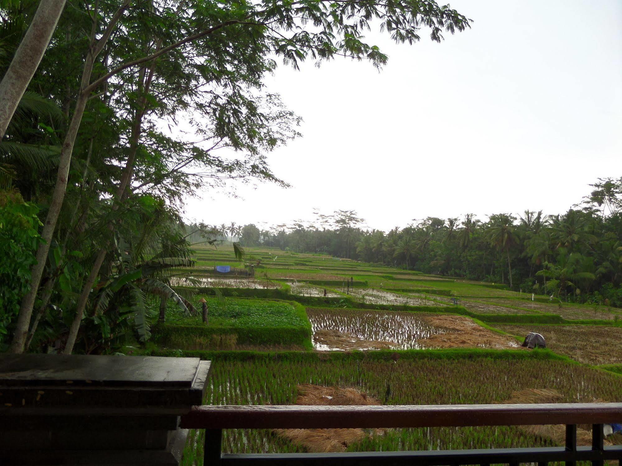 Guest house Inang
