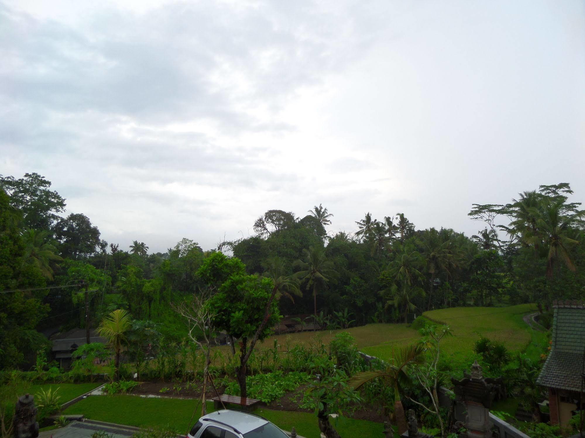 Inang Guest house Ubud (Bali)