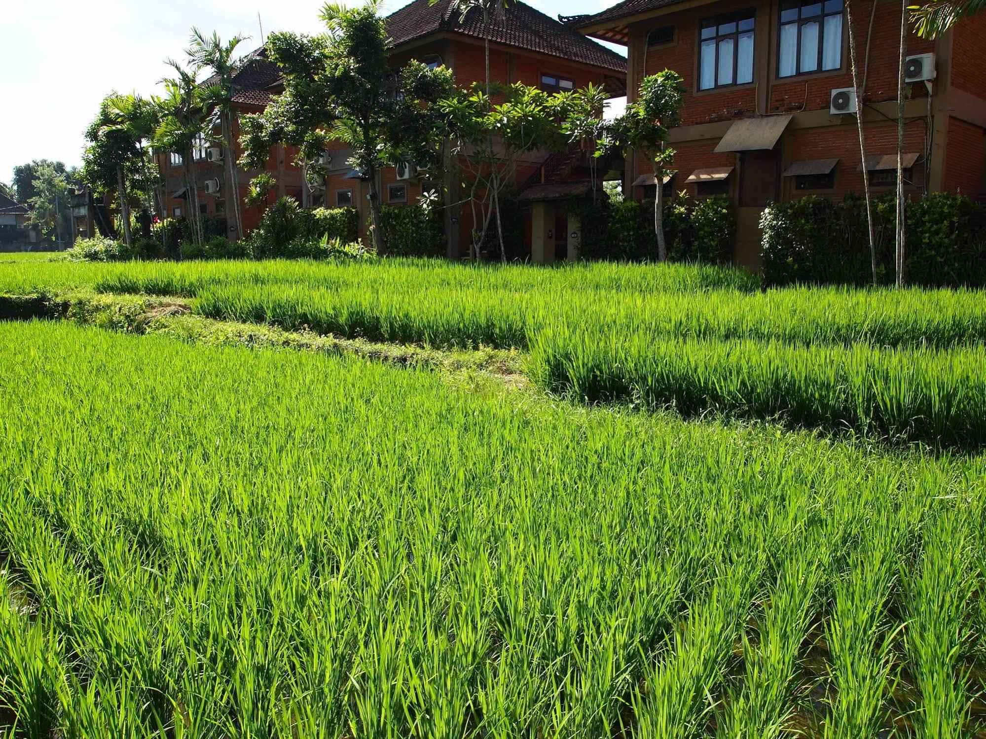 Saren Indah Hotel Ubud