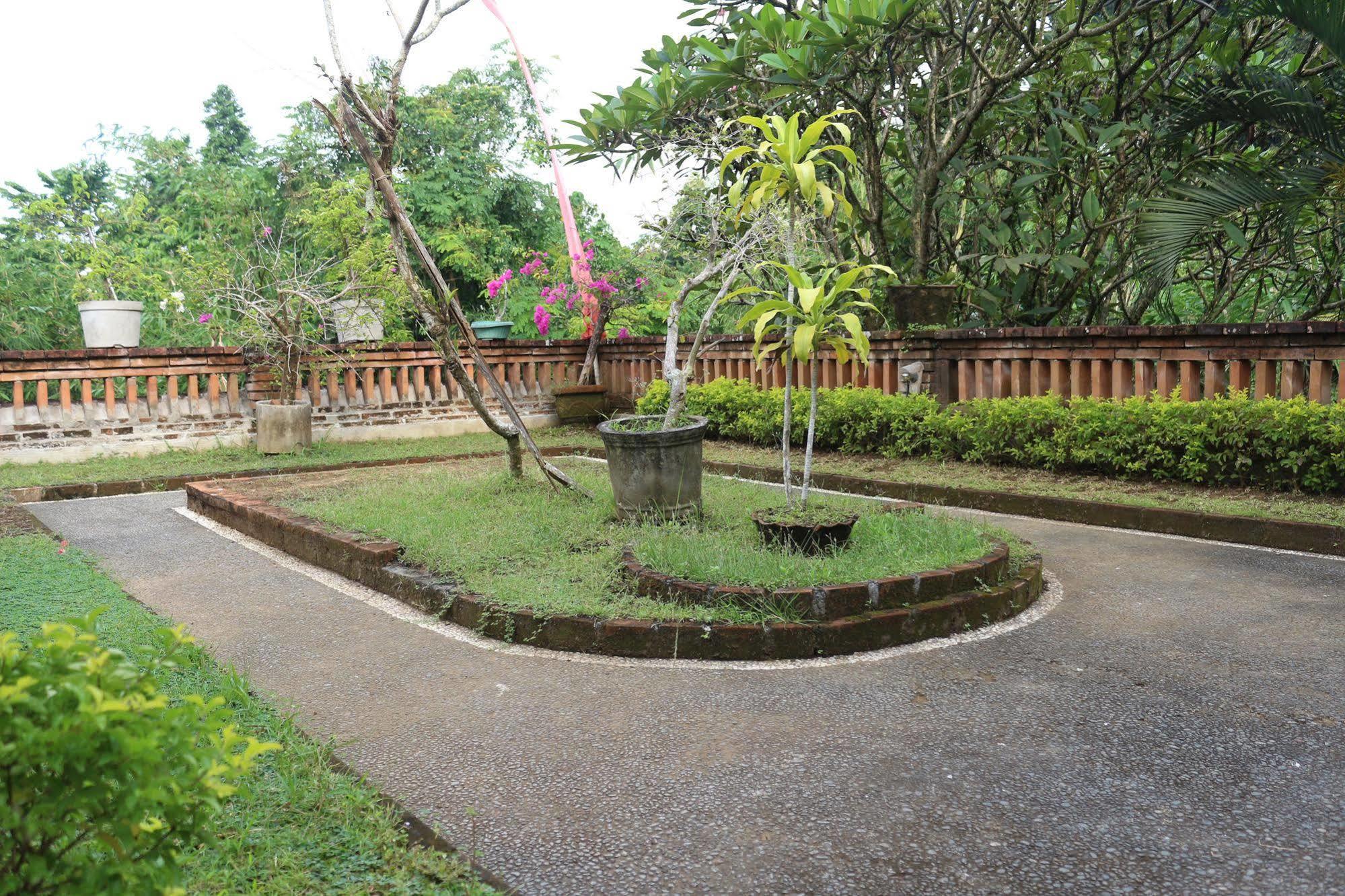 Citrus Tree - Sulendra Homestay