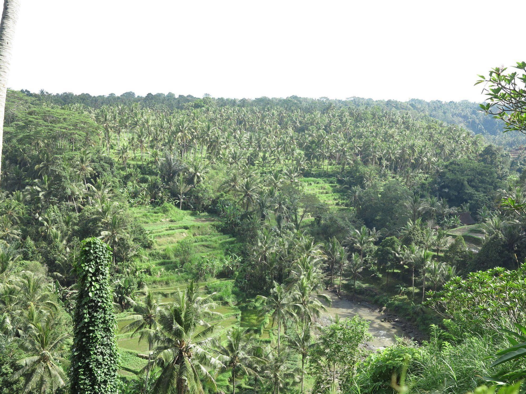 Resort Taman Bebek Bali