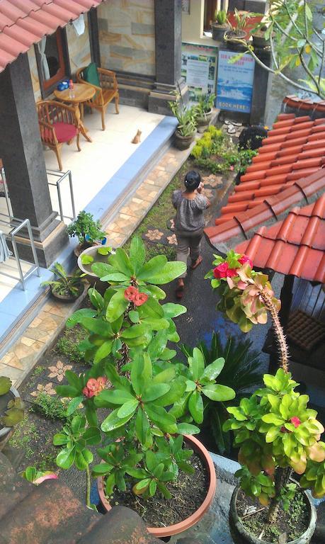 Homestay Jangkrik