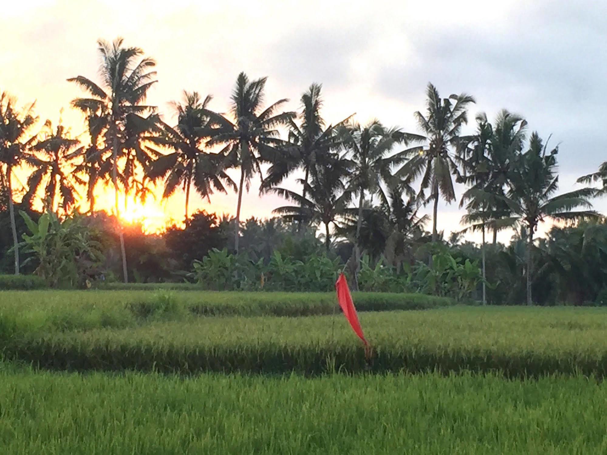Hotel Suly Vegetarian & 3*