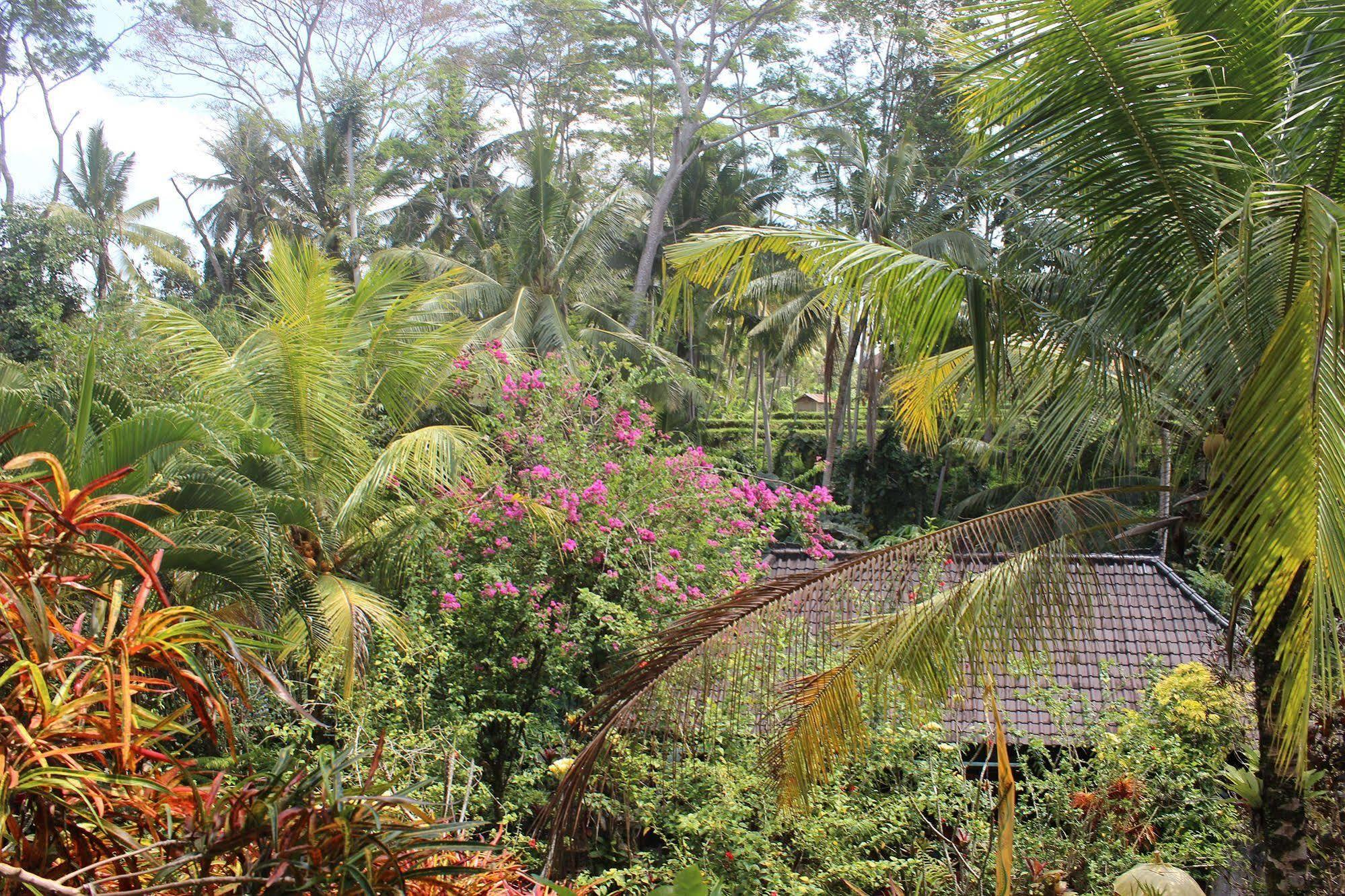 Gusti's Garden Guest house