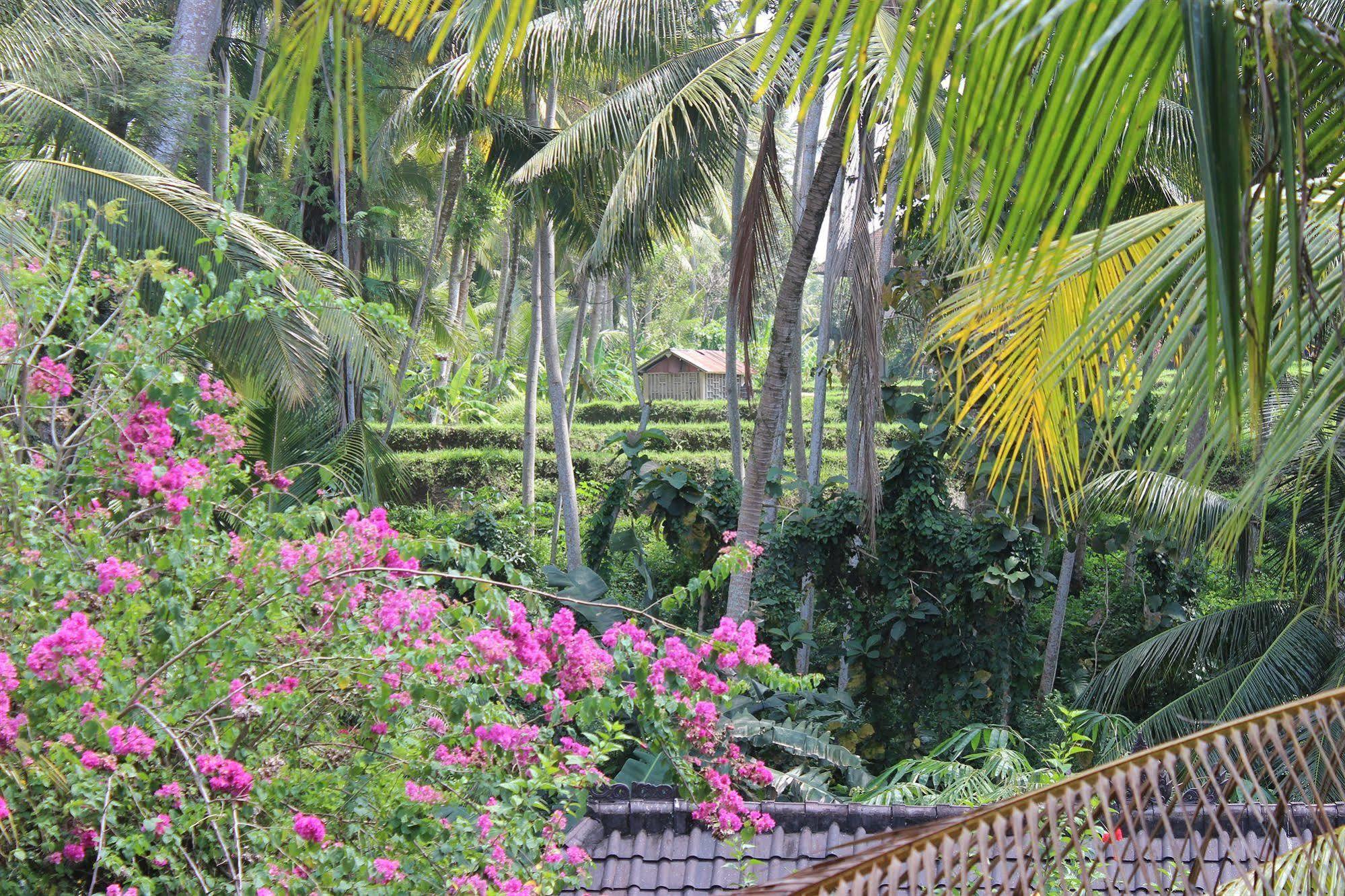 Guest house Gusti's Garden Ubud (Bali)