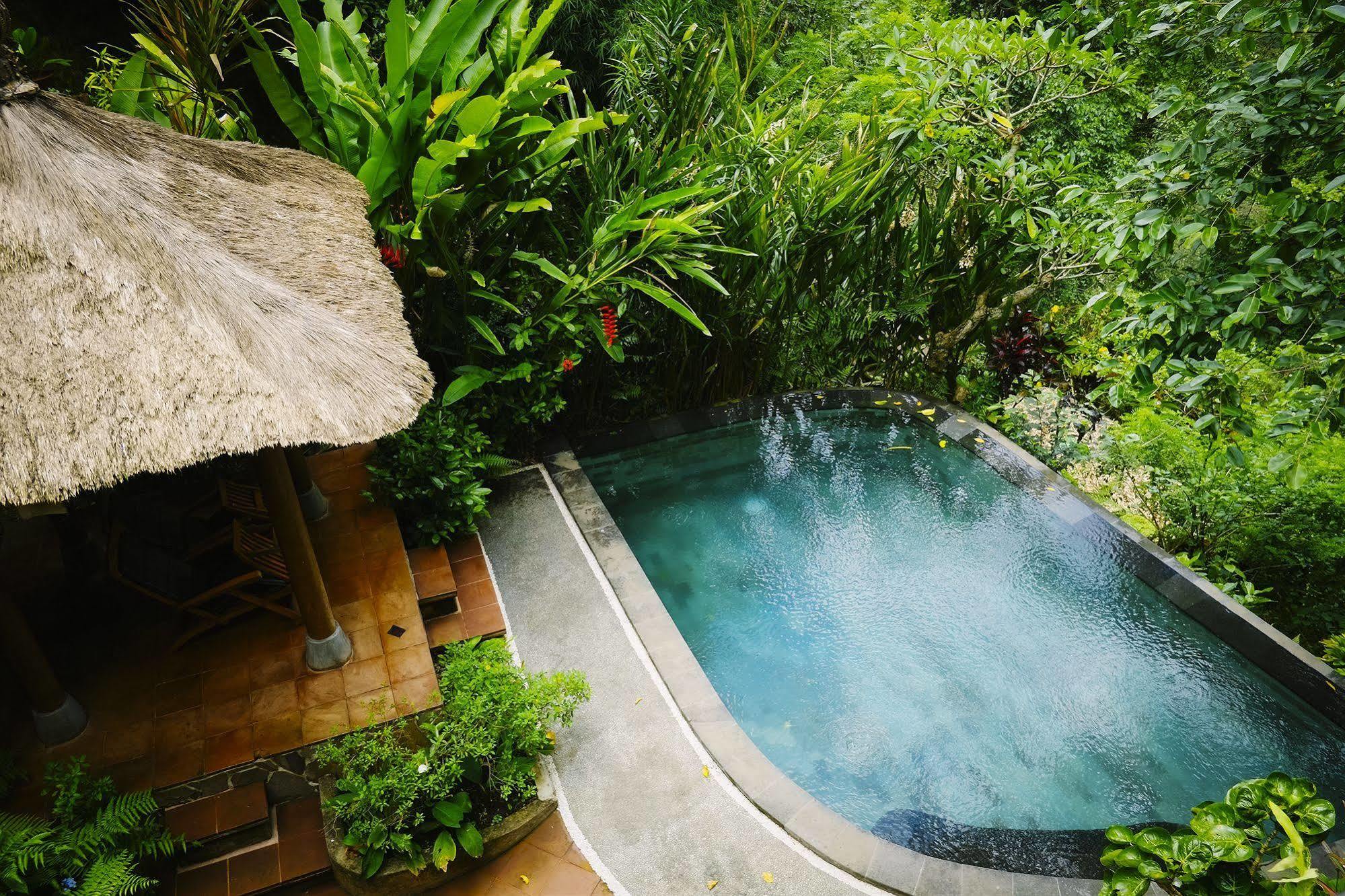 Awang Awang Ubud