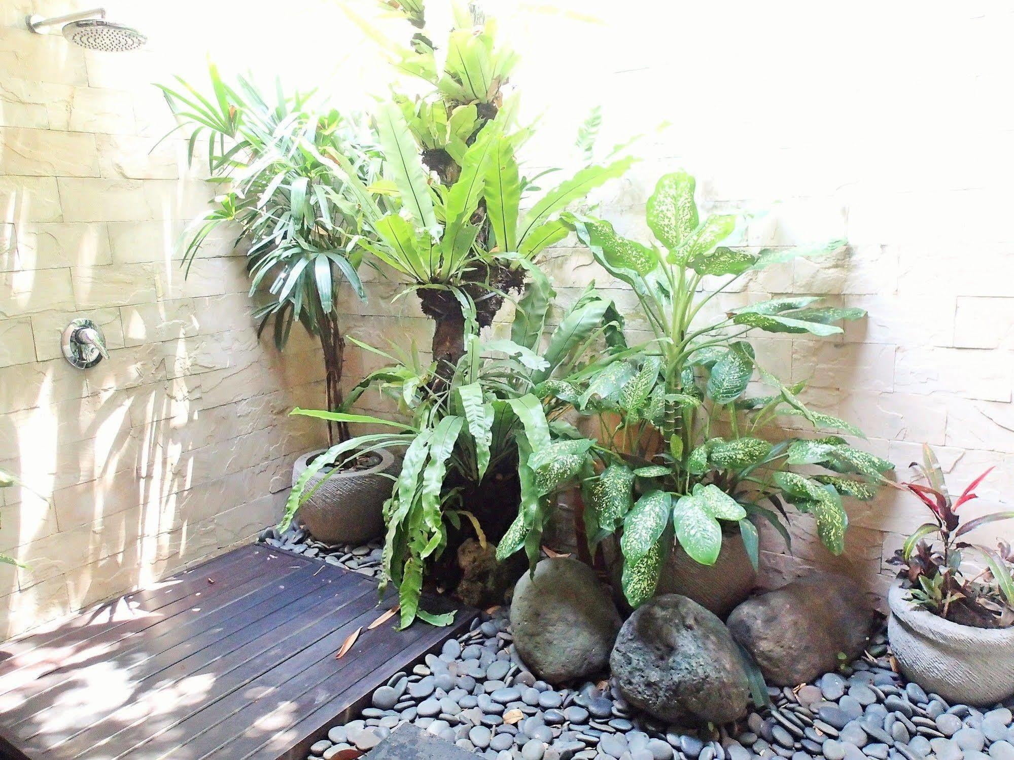 Casa de hóspedes Saraswati