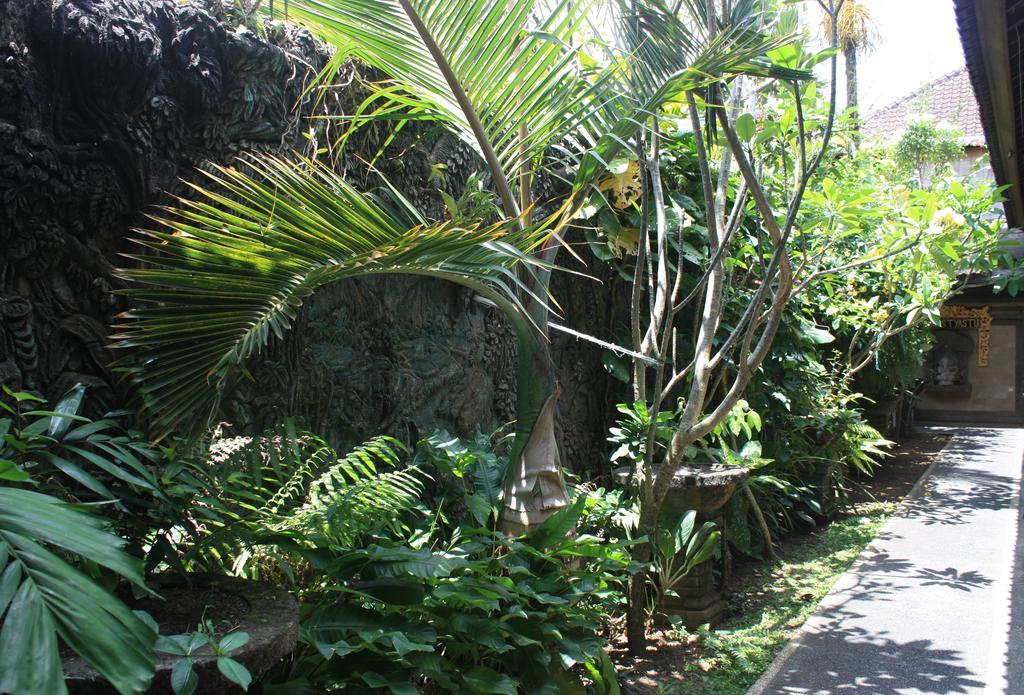 Guest house Budi