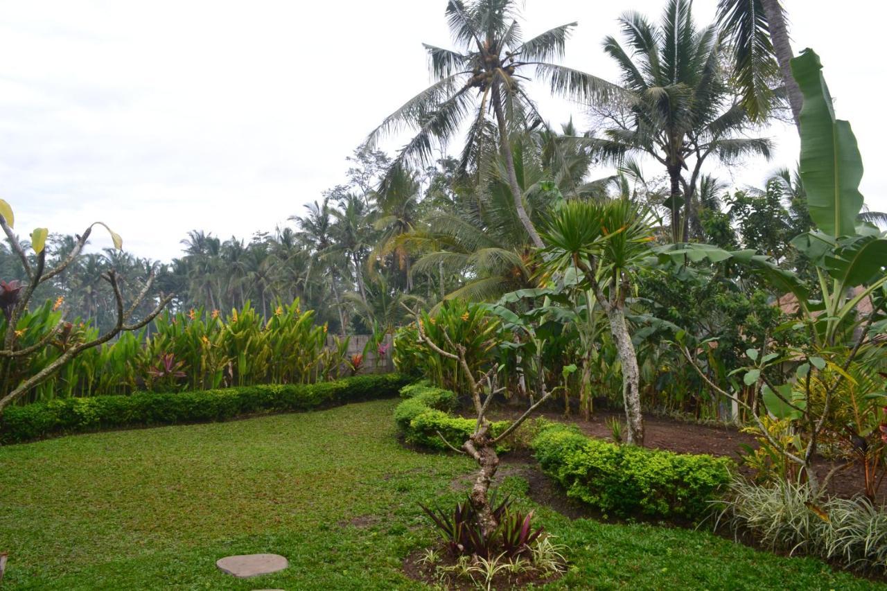 Buda Lodge