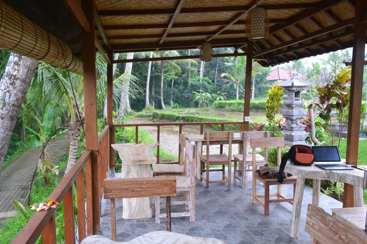 Buda * Ubud