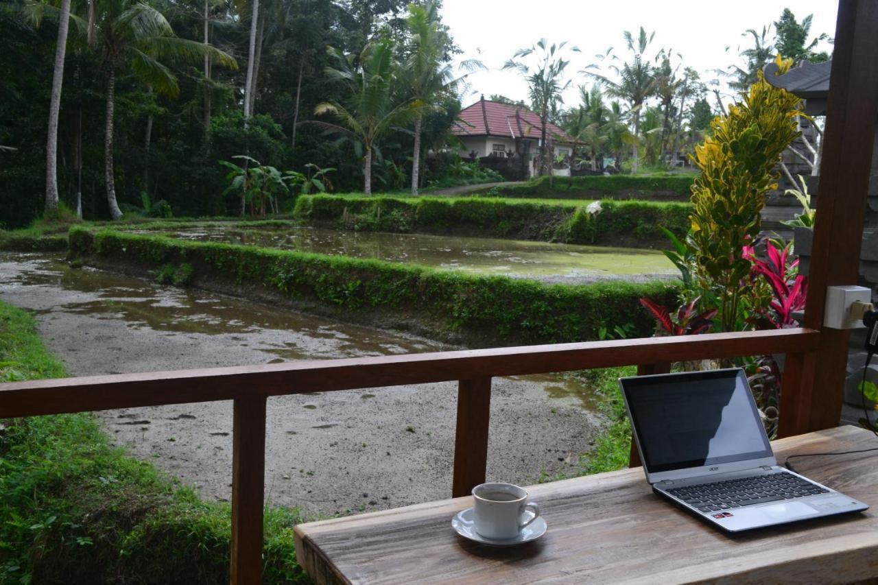 Buda Lodge Ubud