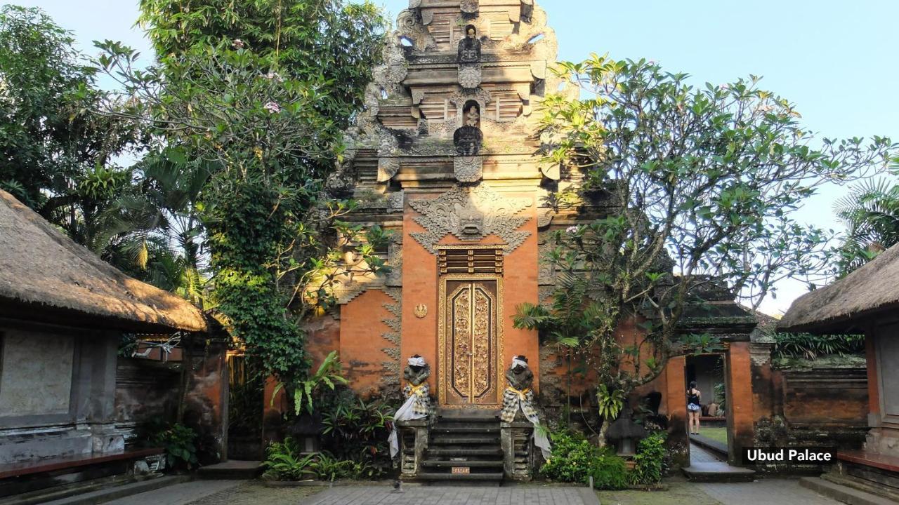 Zen Pengosekan 4