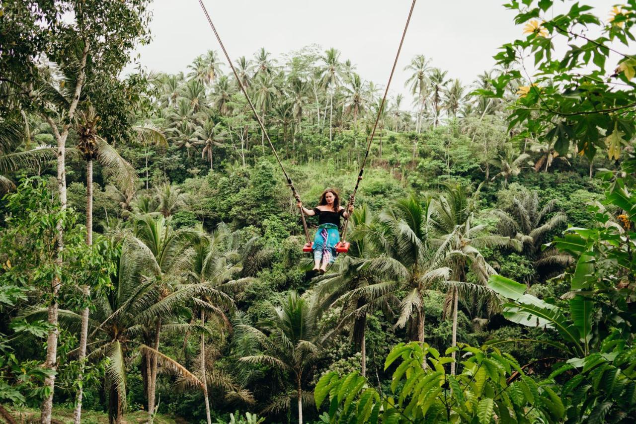 The Solo Female Traveler Hostel