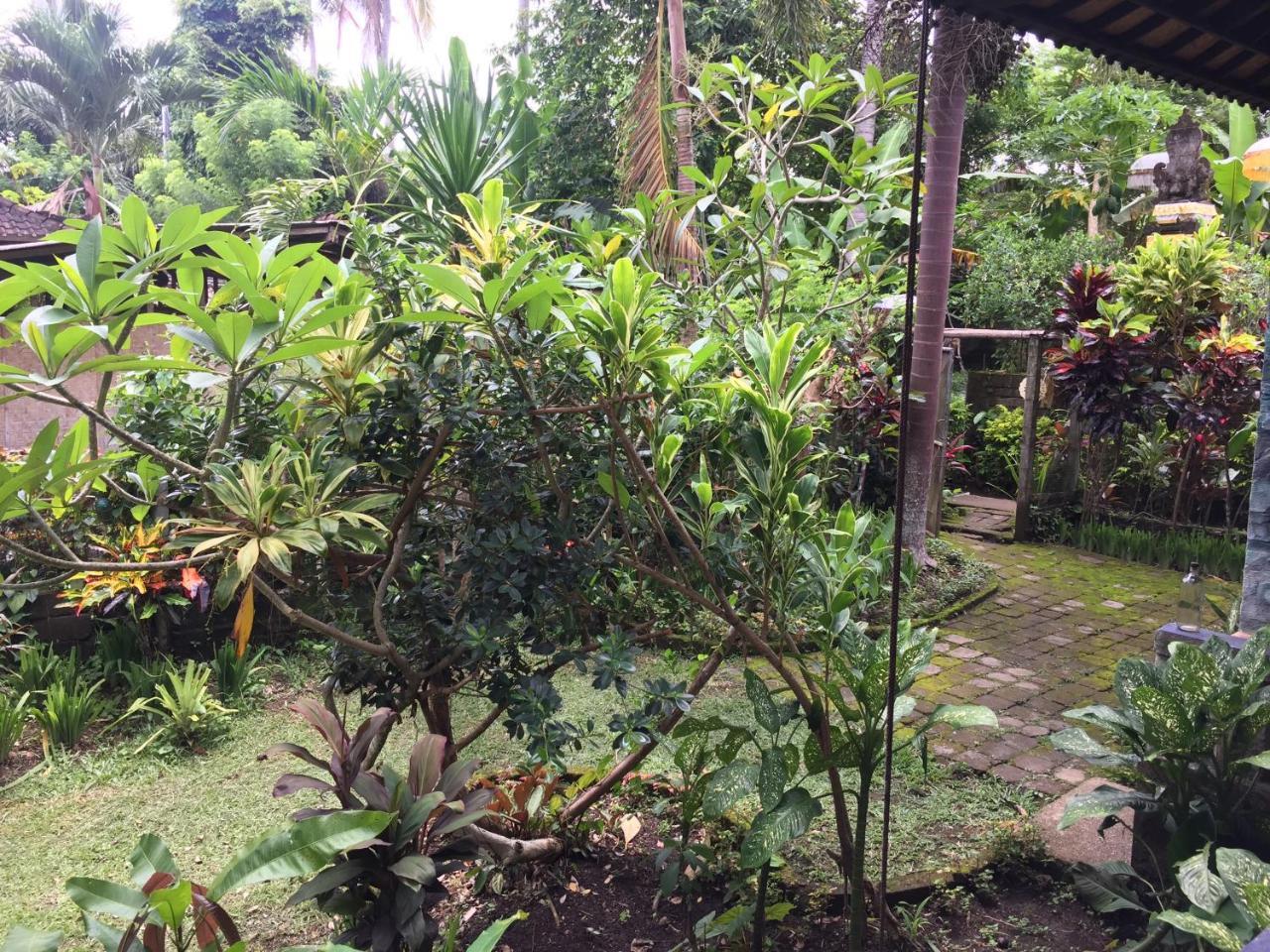 Mahesa Villa *