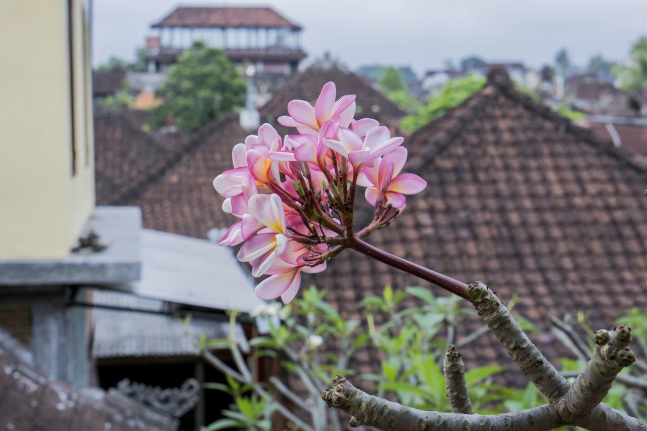 Bangbang Family House Guest house Ubud (Bali)