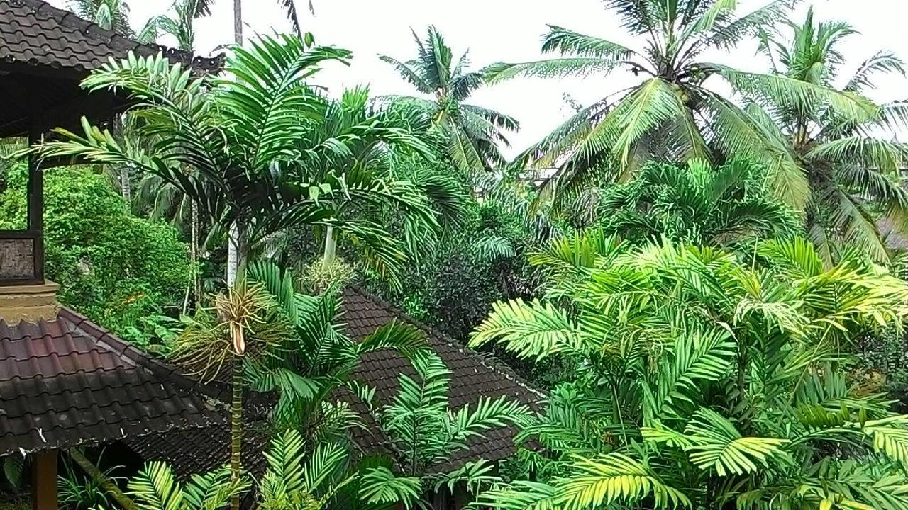 Sari Wangi Ubud (Bali)