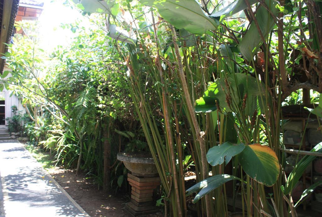 Budi Guest house 3*