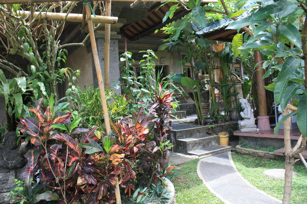 Guest house Budi