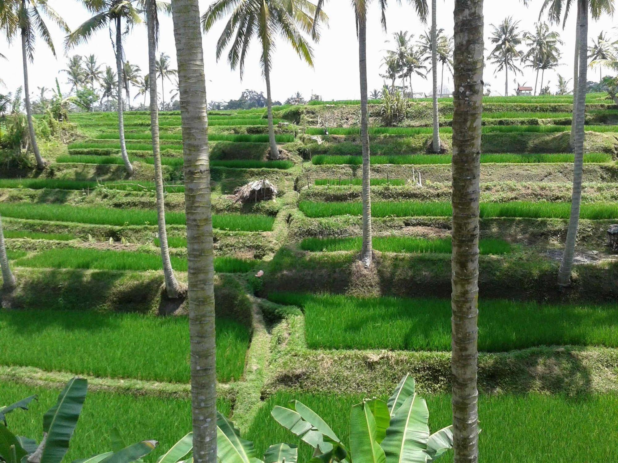 Villa Uma Kama *
