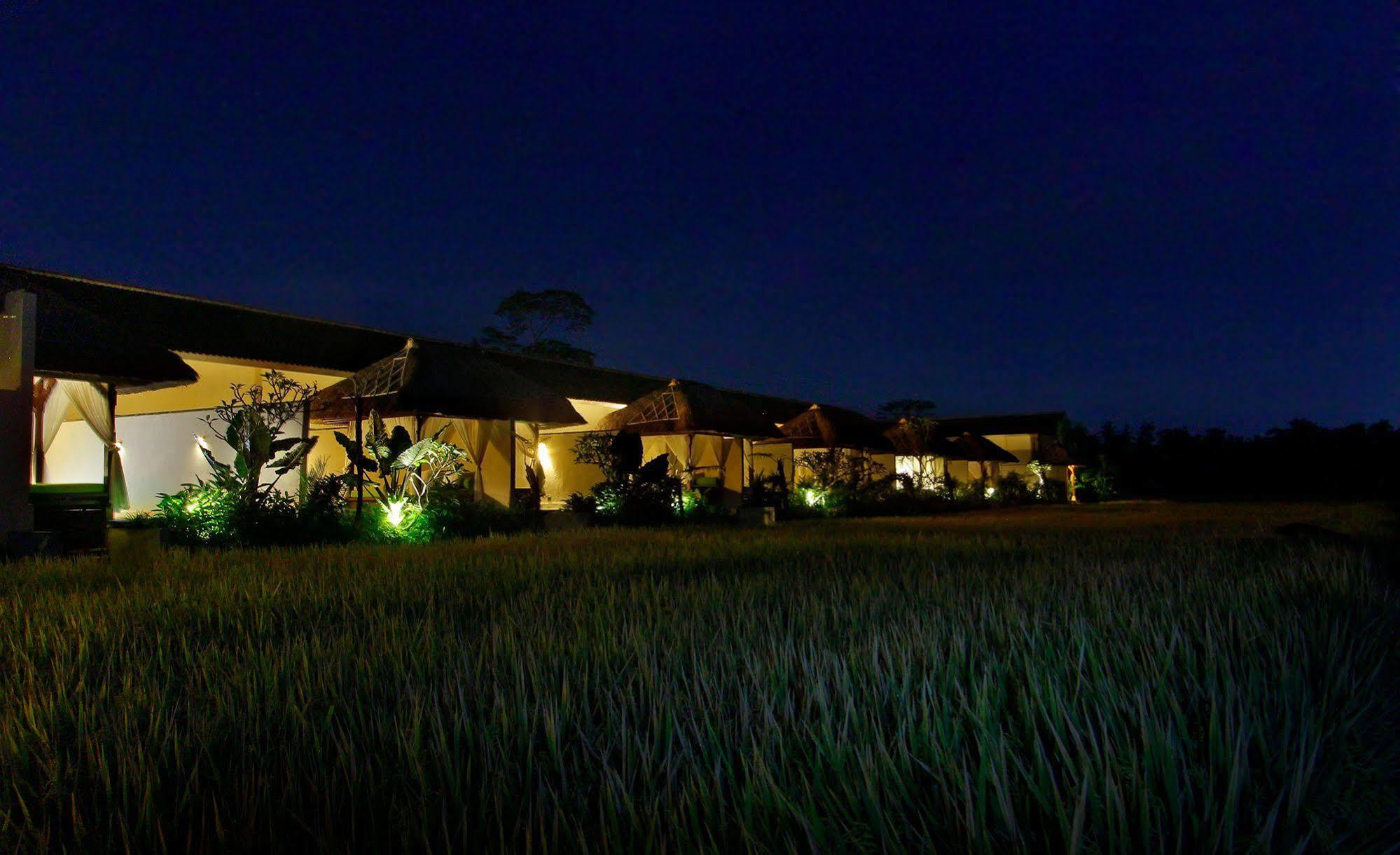 Alam Puisi Ubud (Bali)