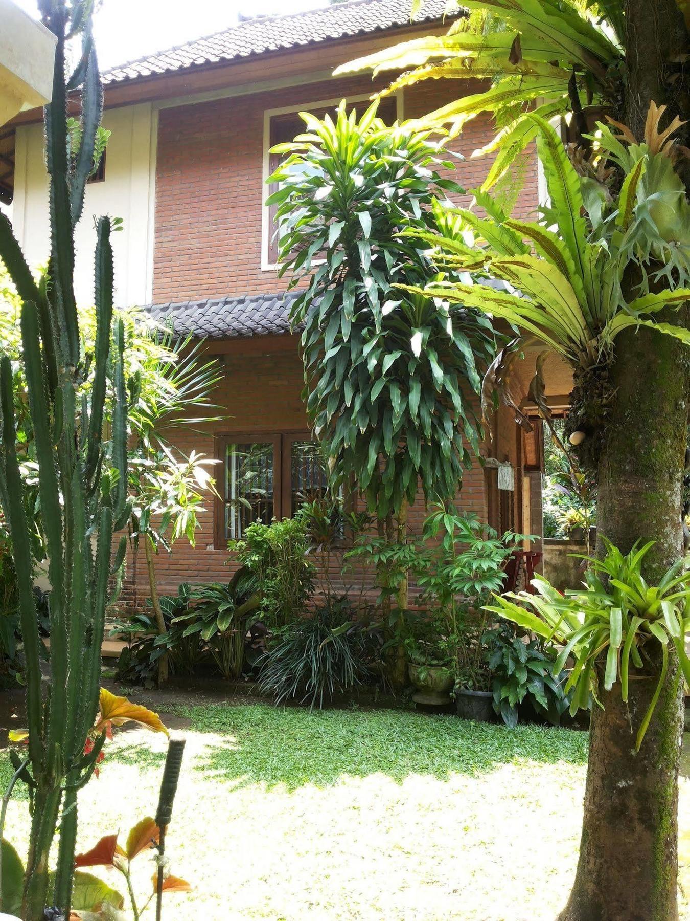 Ben's Ubud