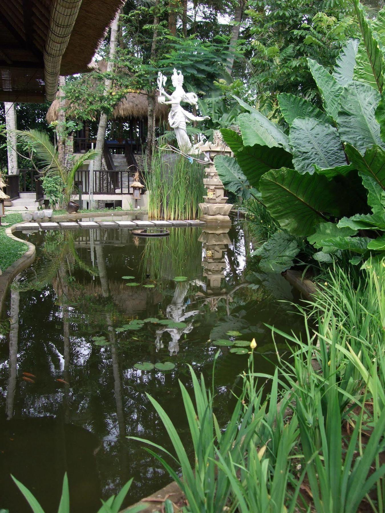 Puri Lotus Holiday park Ubud (Bali)