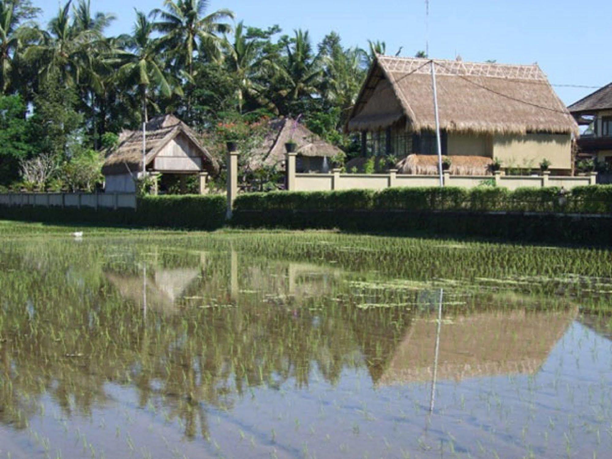 Holiday park Puri Lotus Ubud (Bali)