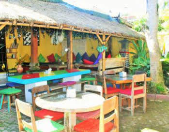 The Happy Mango Tree Hostel