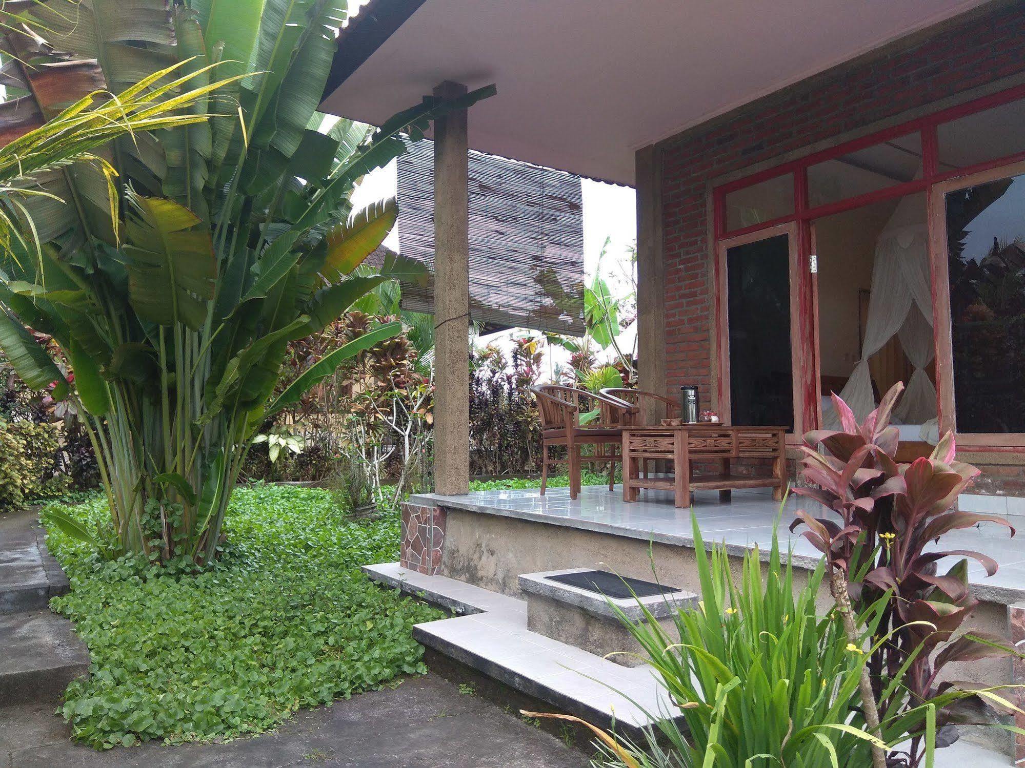 Guest house Terrace Campuhan 2*