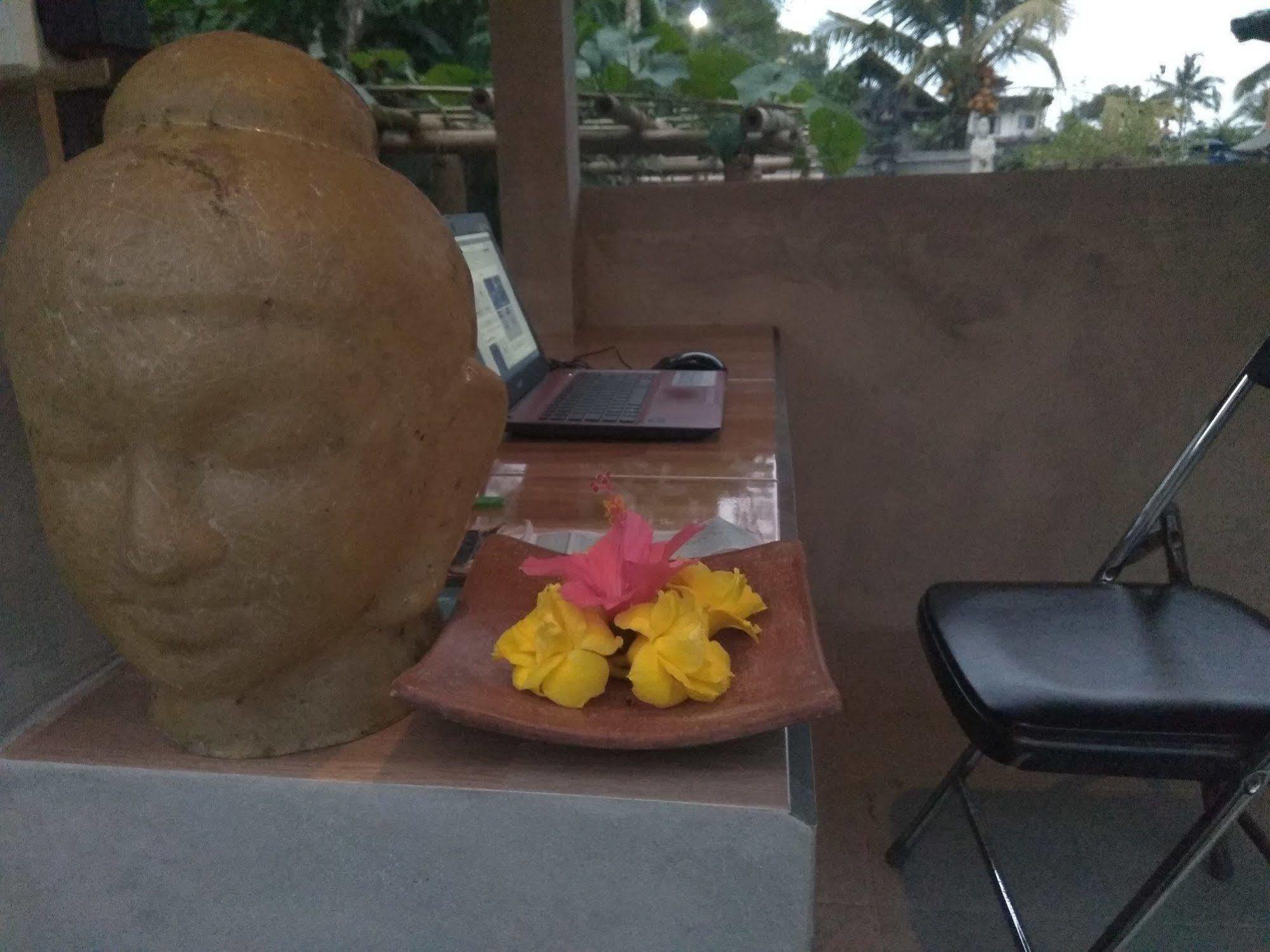 Guest house Terrace Campuhan Ubud (Bali)