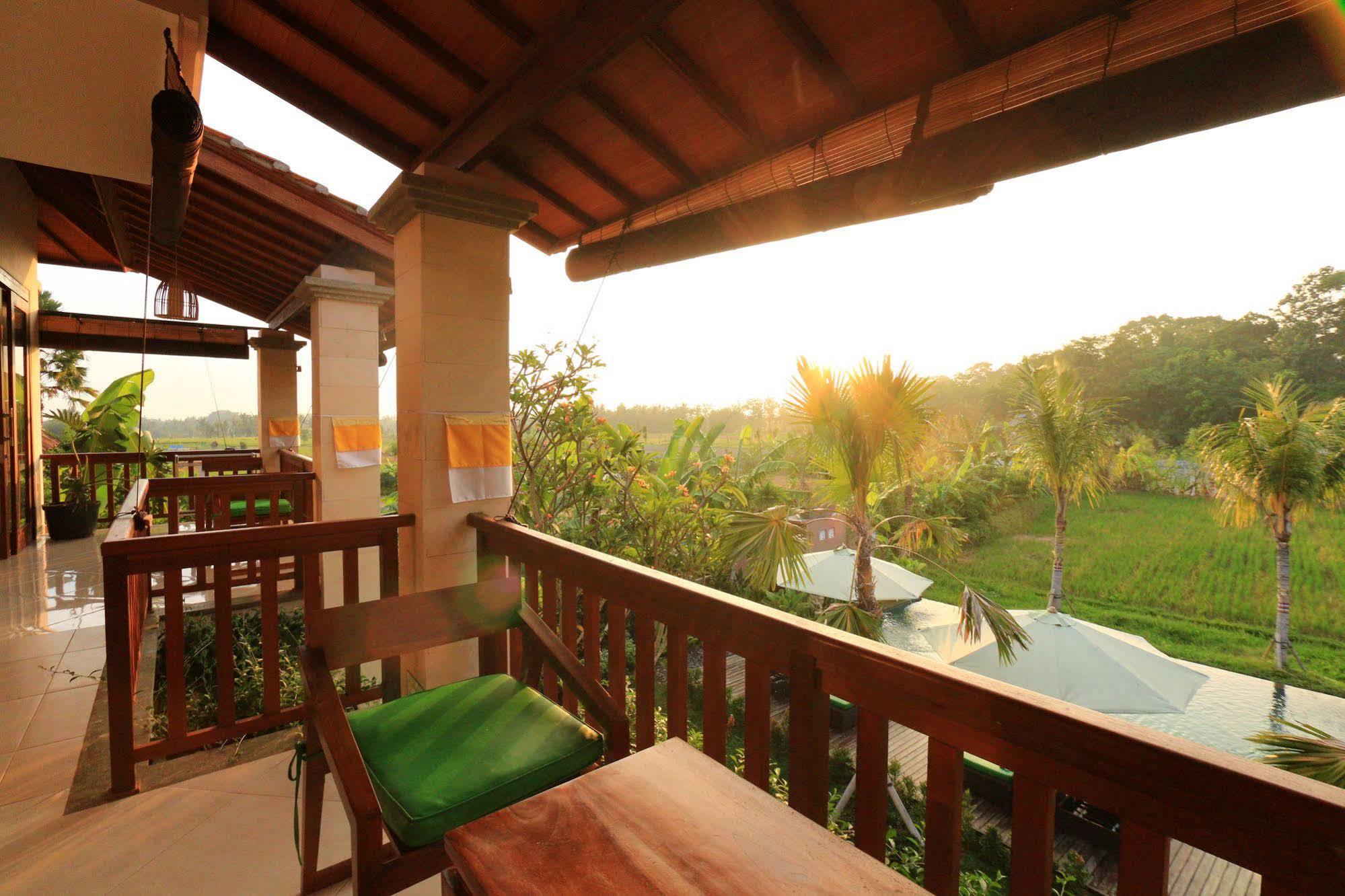 Tropical Garden