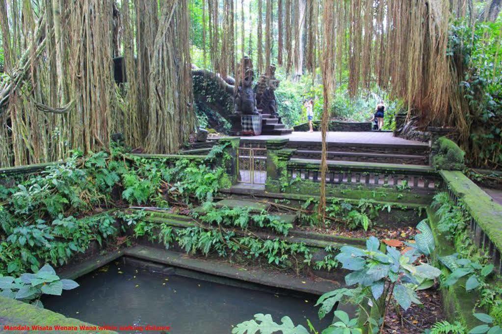 Zen Pengosekan Premasanti *