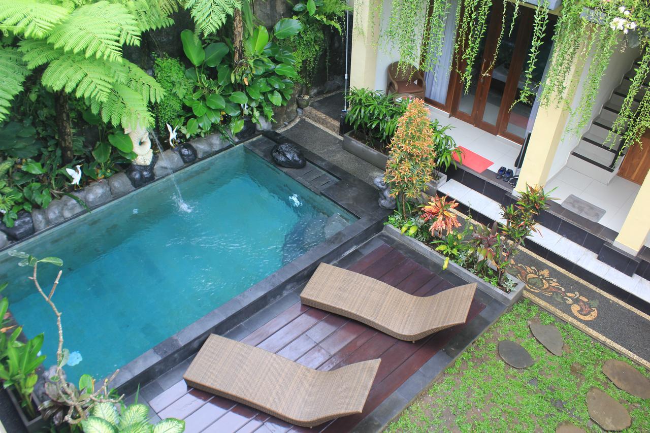 Donald Homestay *
