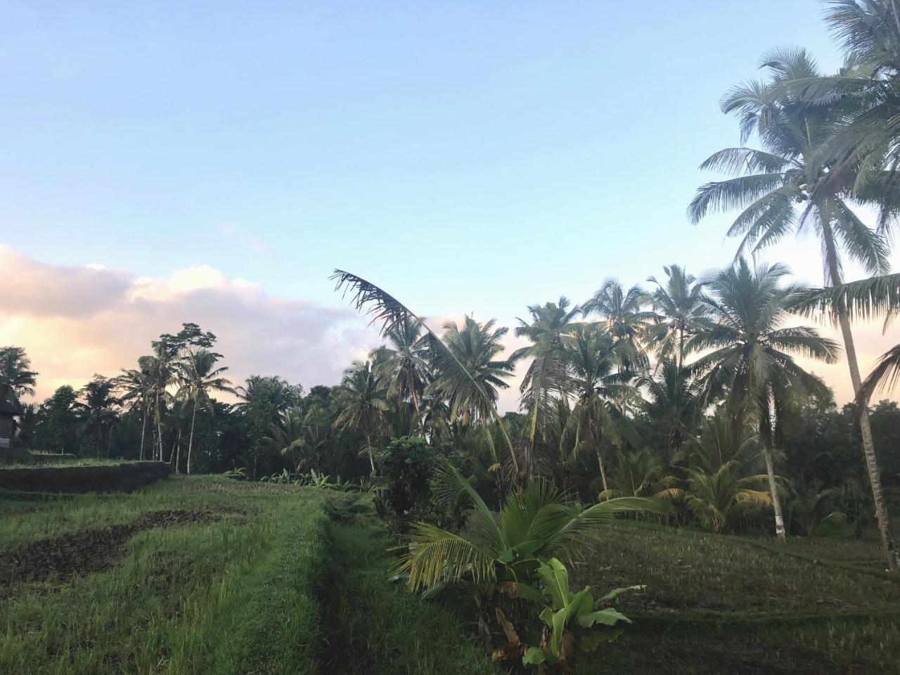 Villa Neyang *