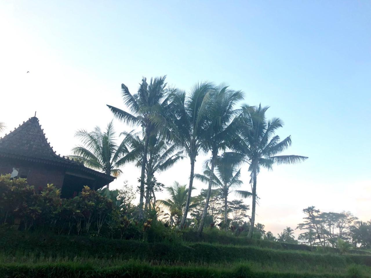 Villa Neyang