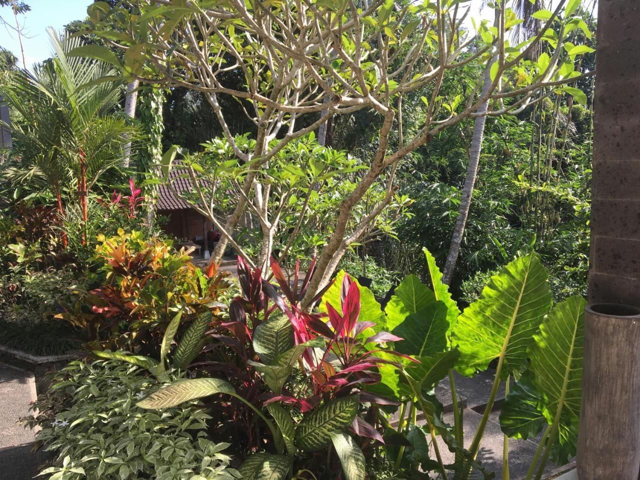 The Bali Shanti Ferienpark Ubud