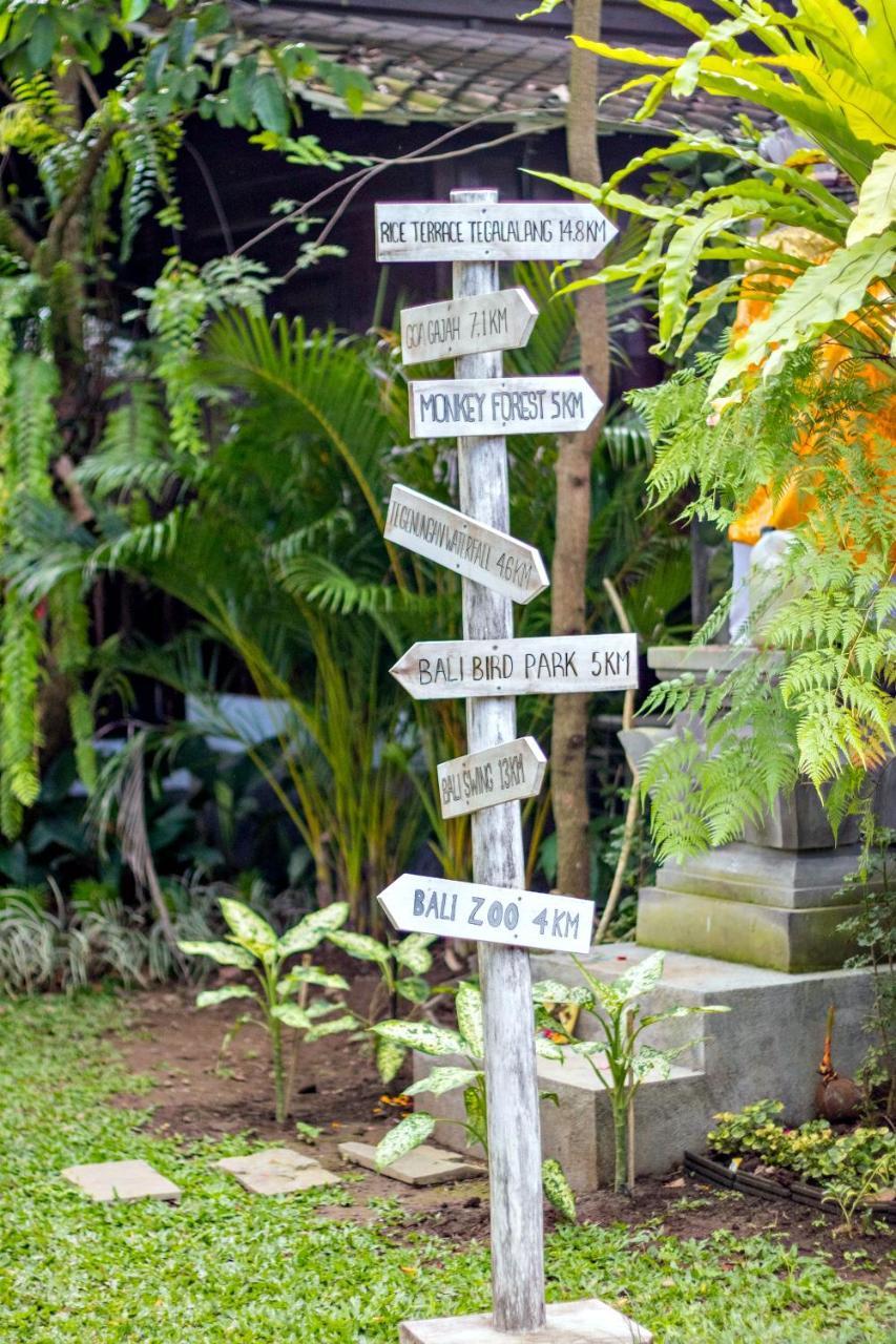 Canvas Escape Hotel