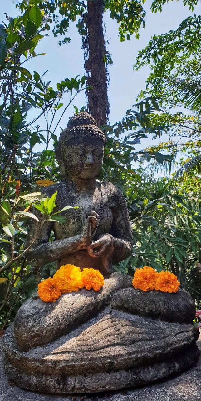 Bed & Breakfast Secluded Jungle Ubud (Bali)