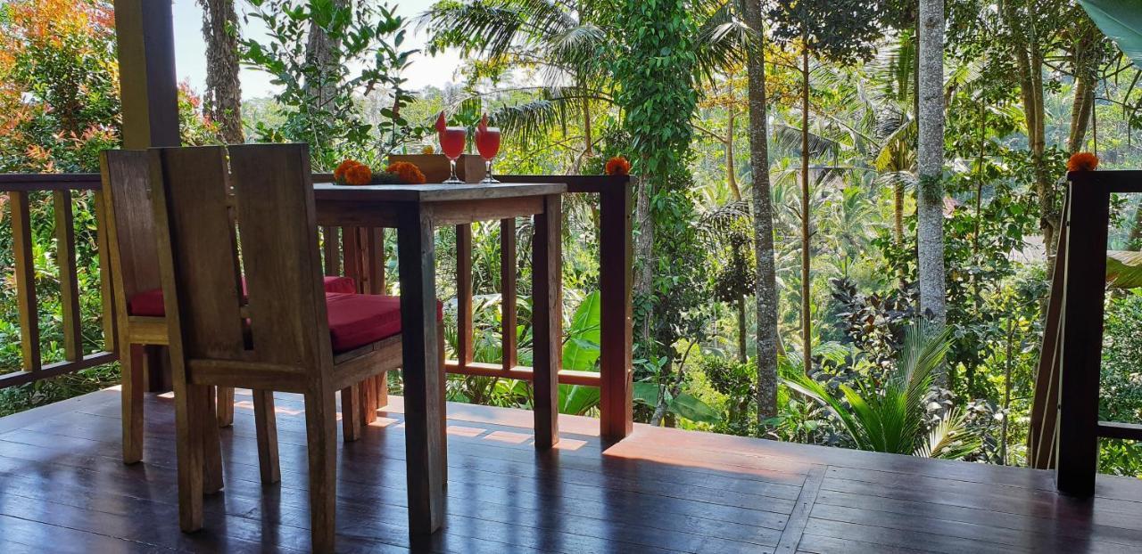Bed & Breakfast Secluded Jungle