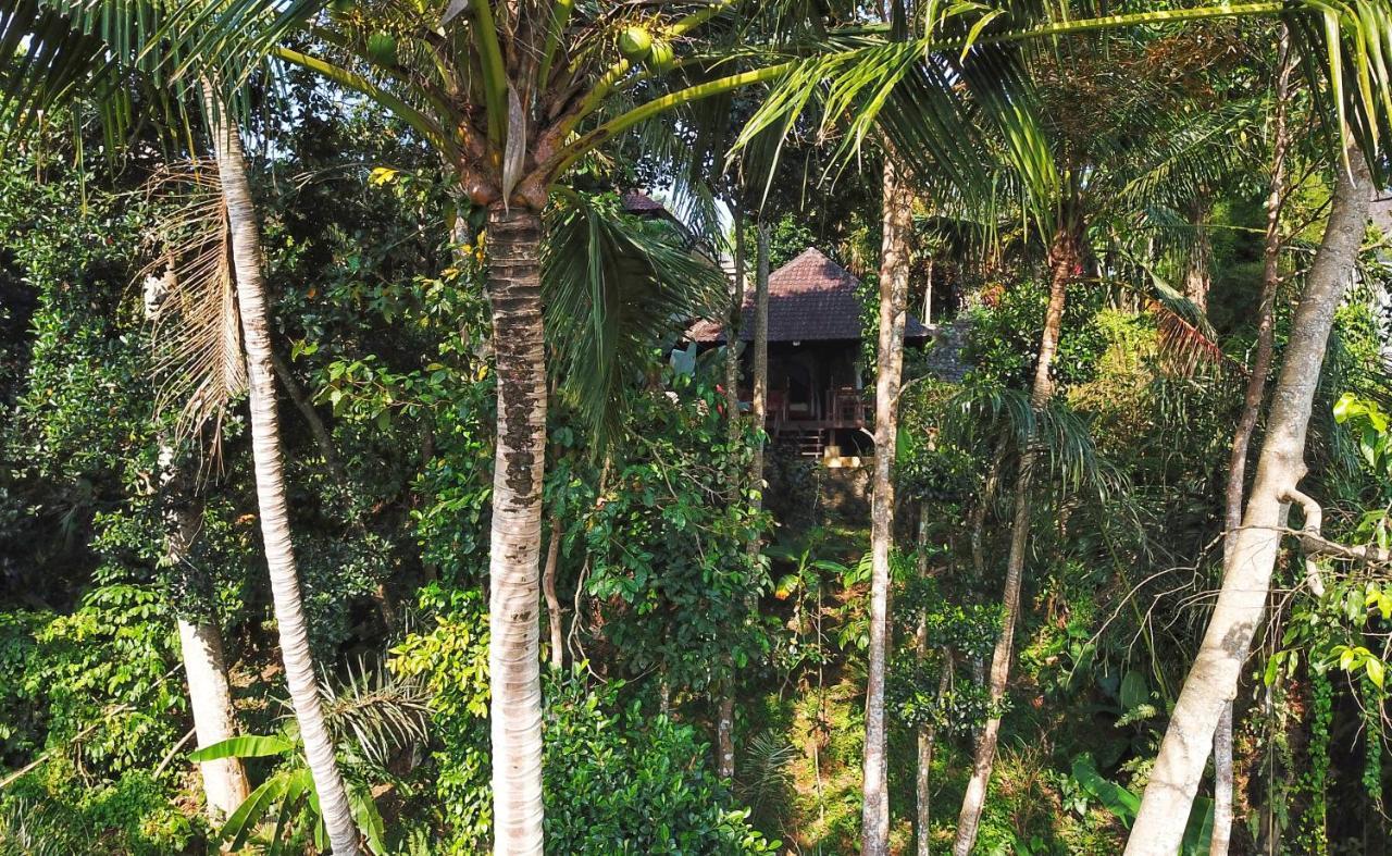 Secluded Jungle 2* Ubud (Bali)