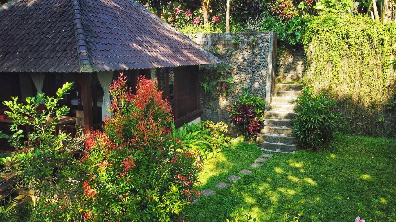 Secluded Jungle Bed & Breakfast 2*