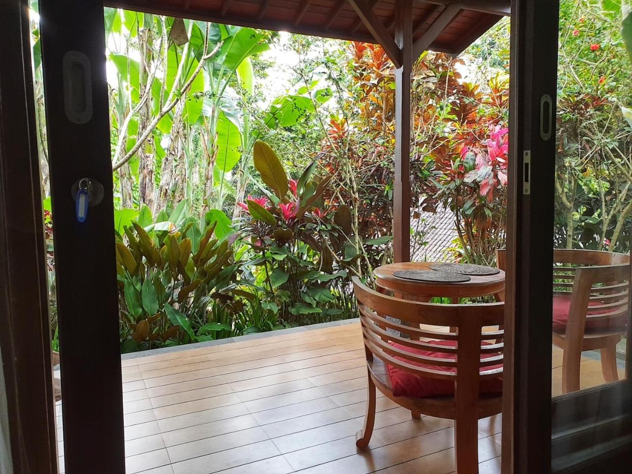 Bed & Breakfast Secluded Jungle 2*