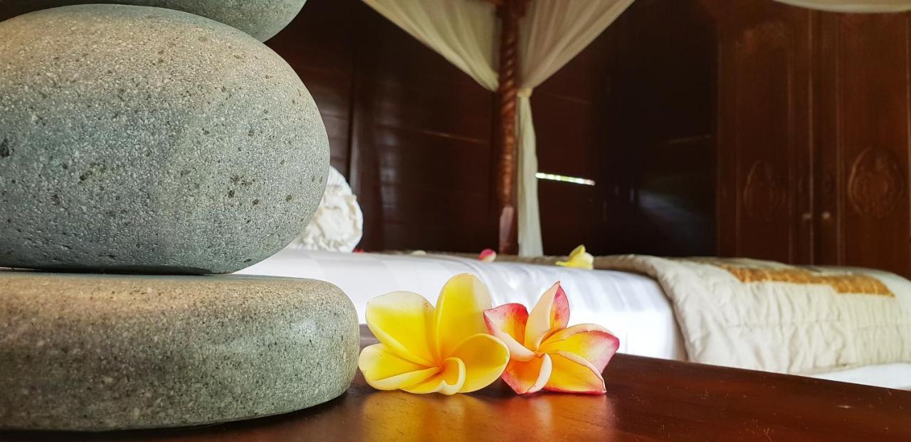 Bed & Breakfast Secluded Jungle 2*