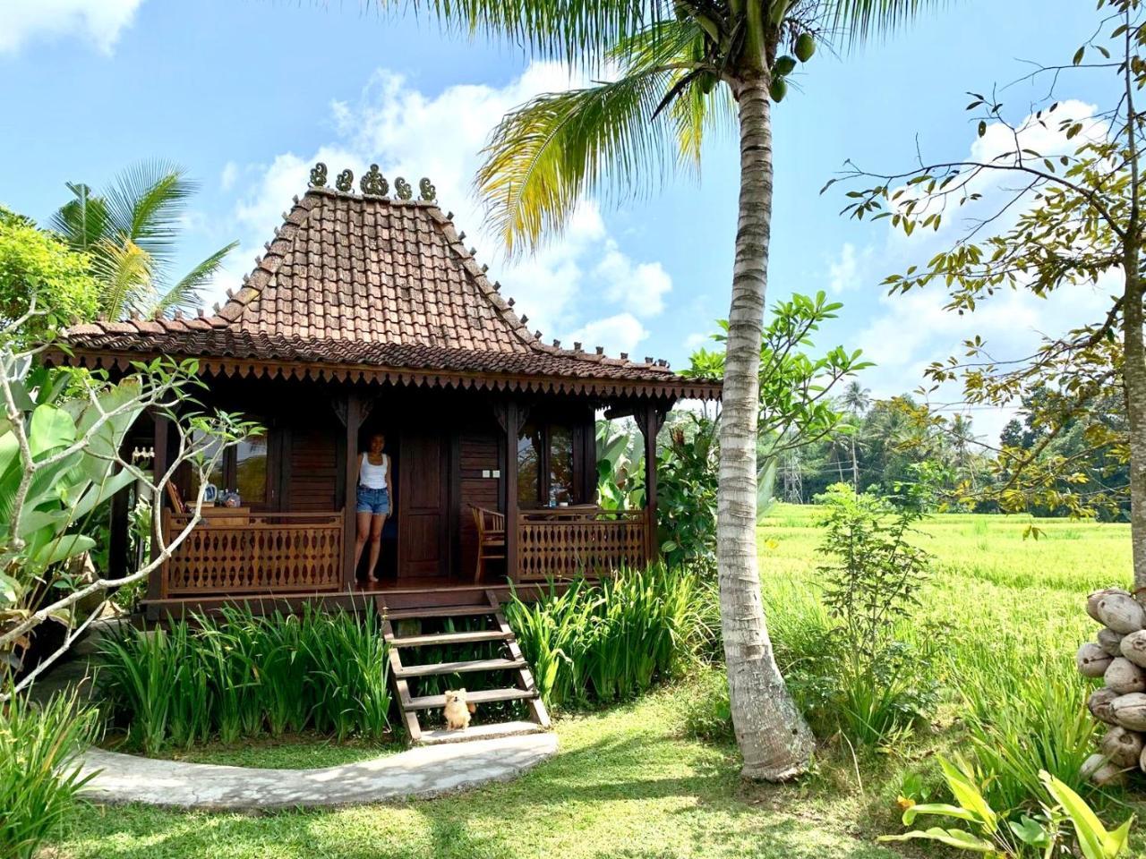 Neyang Ubud (Bali)
