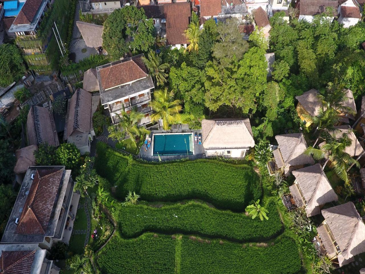 Biyukukung & Hotel Ubud