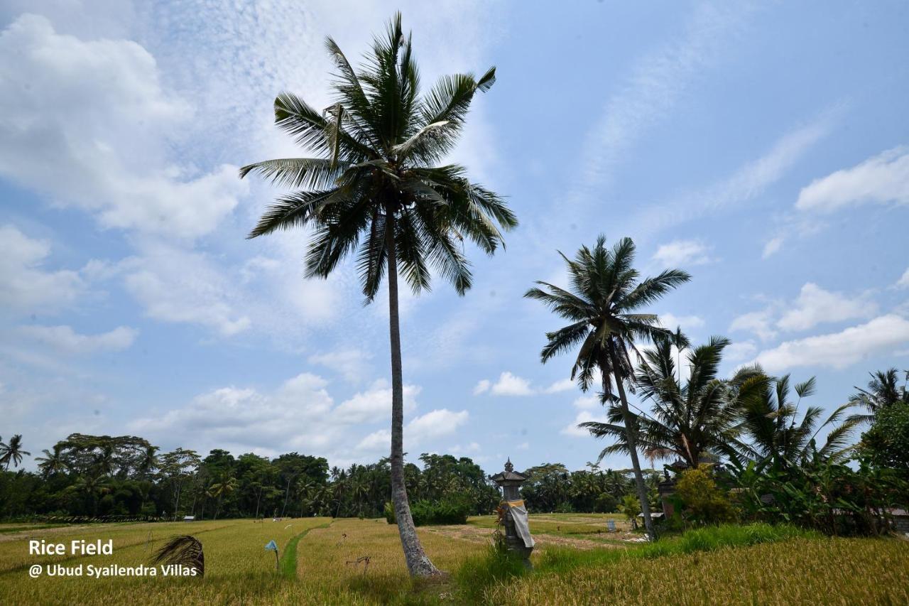 Syailendra * Ubud