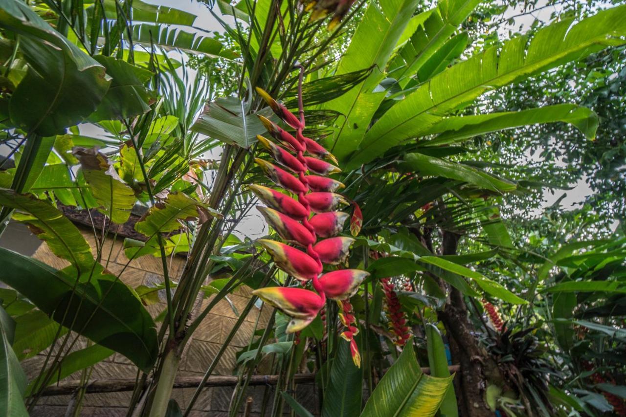 Guest house Tegar Ubud (Bali)