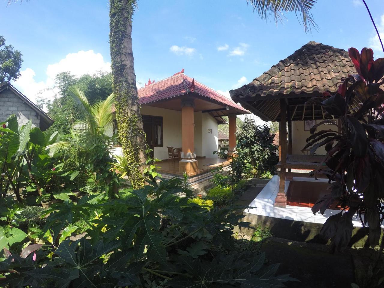 Dipa Homestay