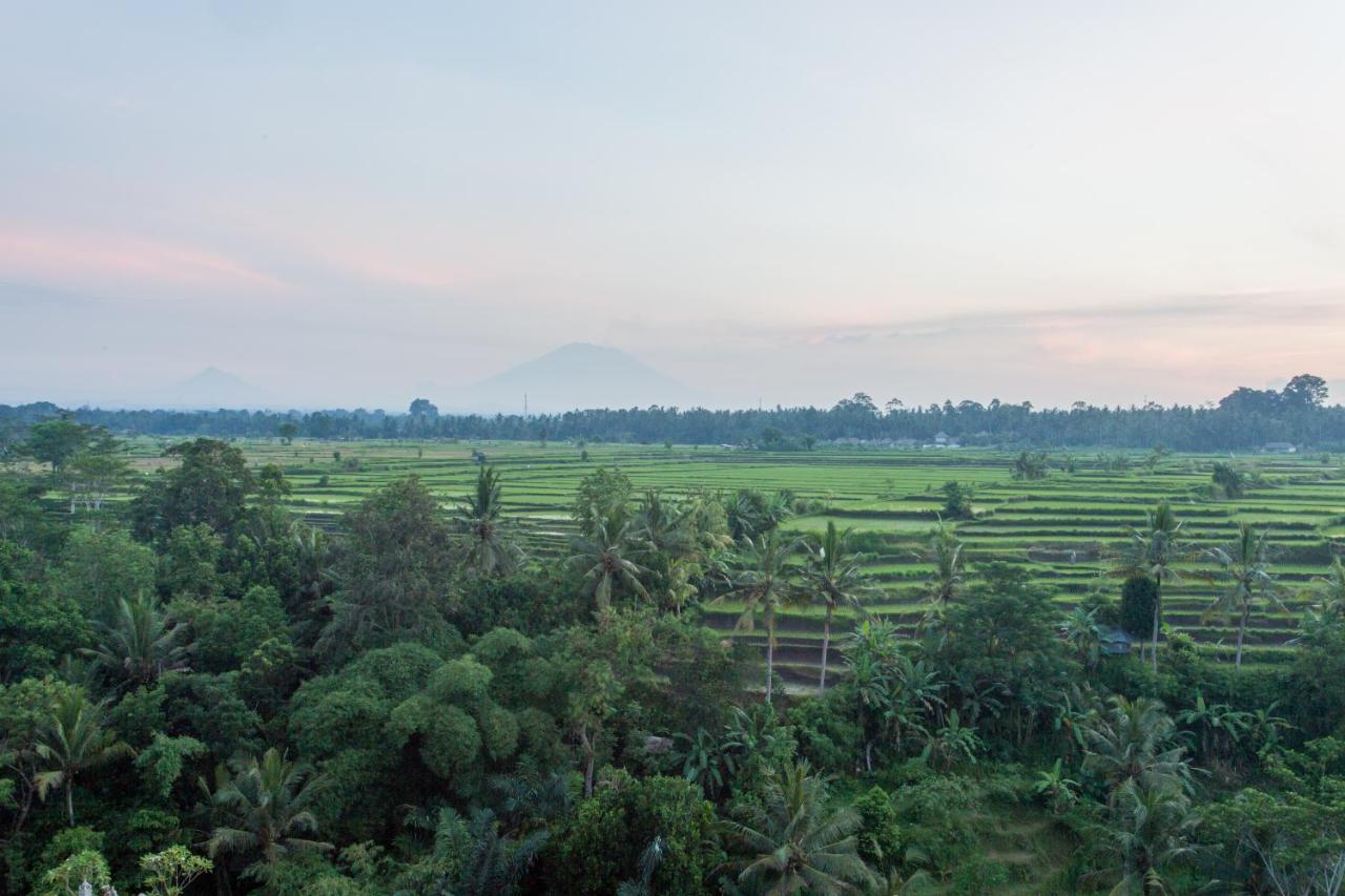 Resort Seres Springs Resort&spa, Singakerta 5*